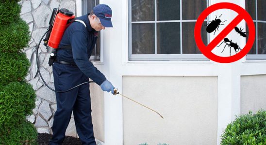 Sincan Karınca İlaçlama böcek ilaçlama ve haşere kontrolü — ilaclama-tr.com
